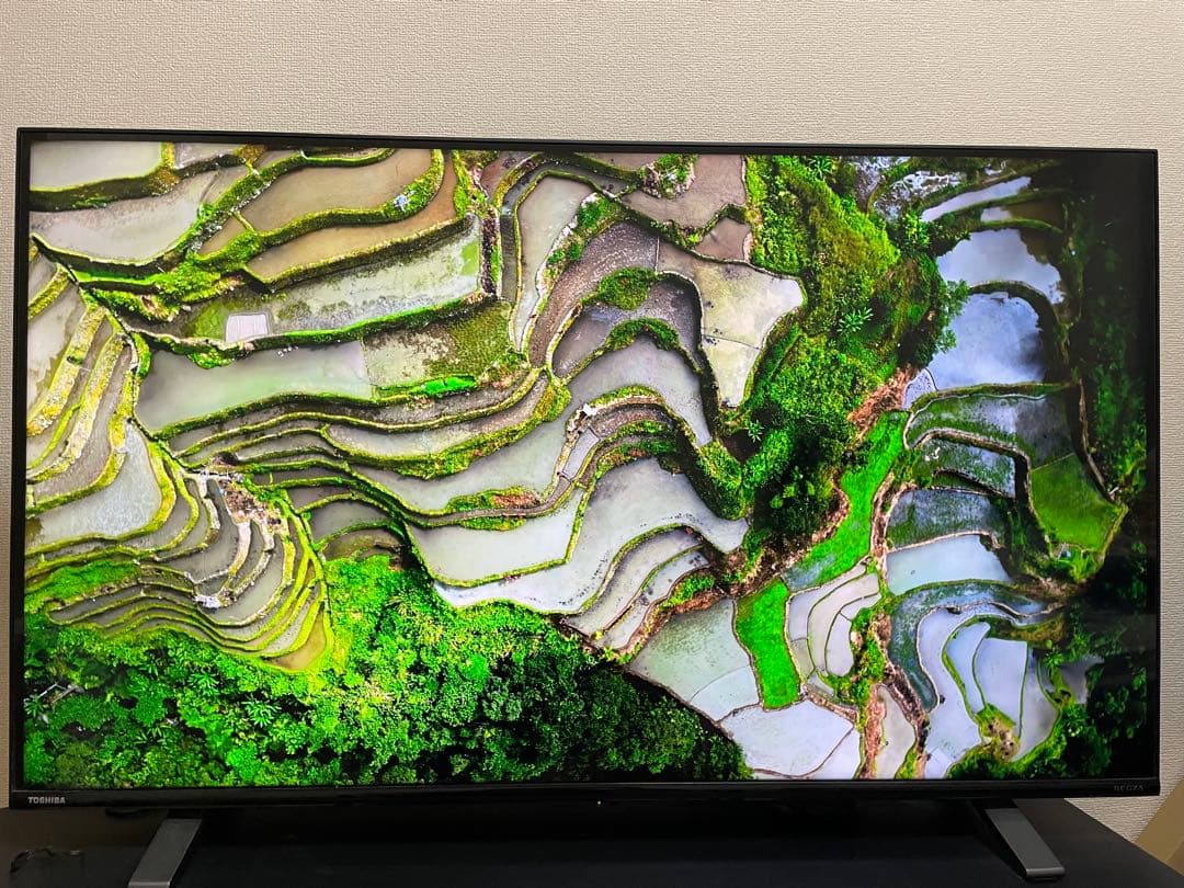 m*y様 東芝 レグザ REGZA 43型4Kテレビ