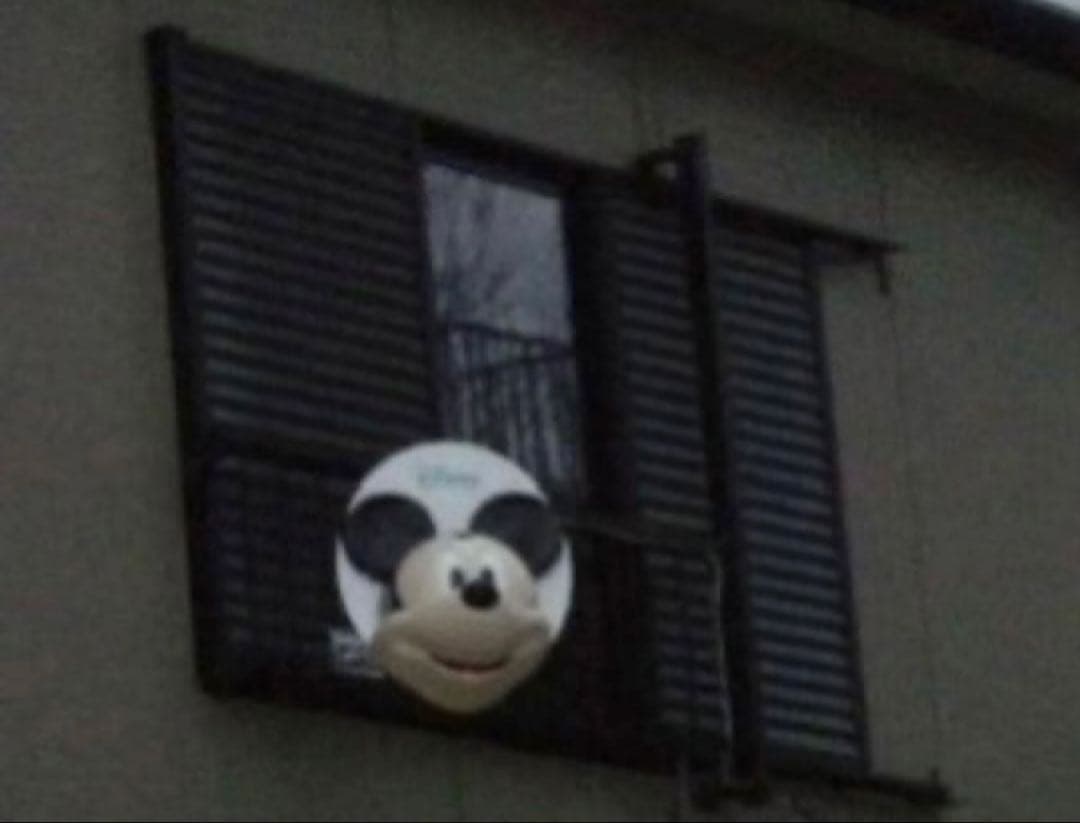 マスプロ BS・110°CS アンテナ ミッキーマウス BSC45RMC-SET