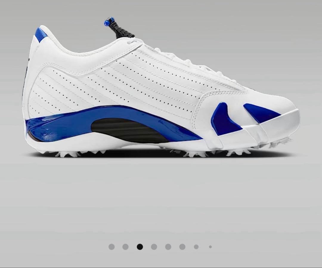 コ*)様 AIR JORDAN 14 G ゴルフシューズ 10 (US)