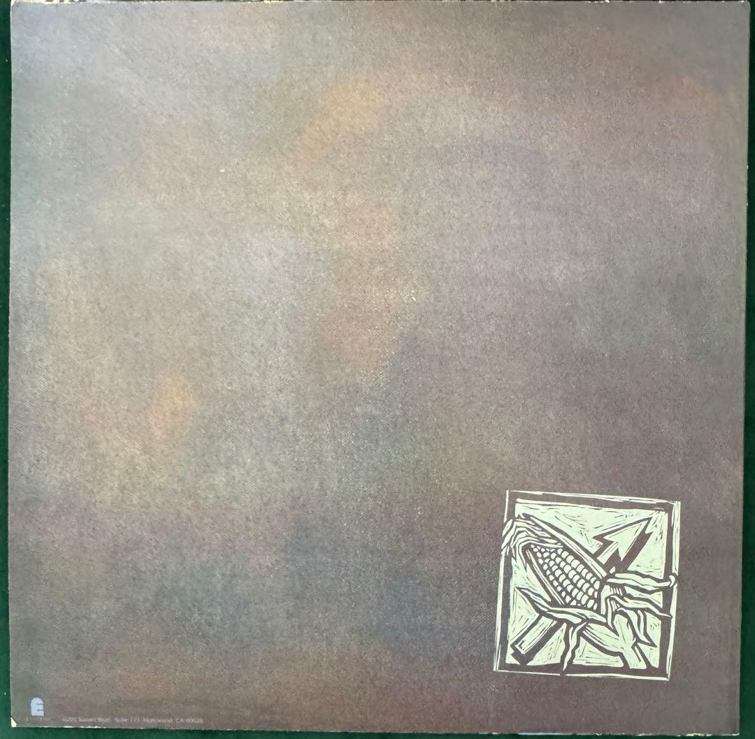 BAD RELIGION レコード　US original 盤極美品