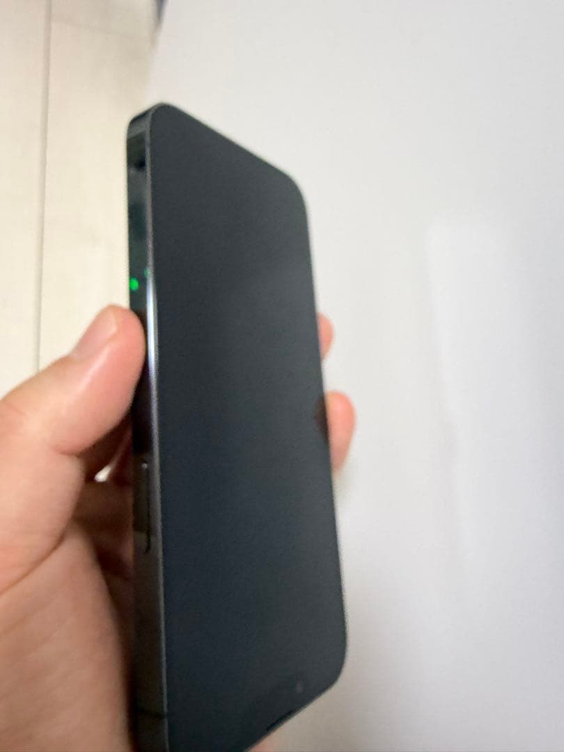 サボ　Apple iPhone 13 Pro グリーン（超美品）