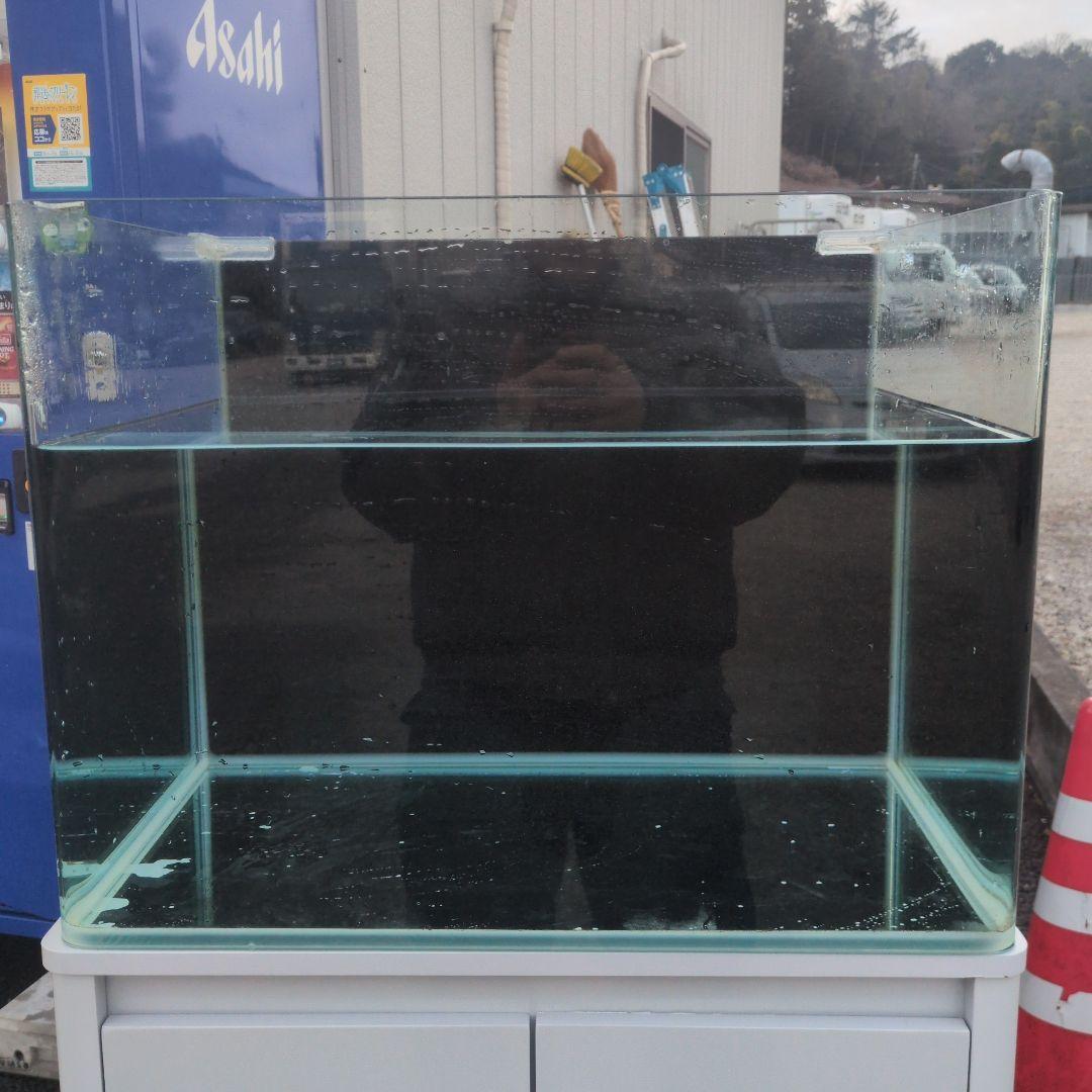 たらこスパゲッティ 水槽、水槽台、フィルターセット