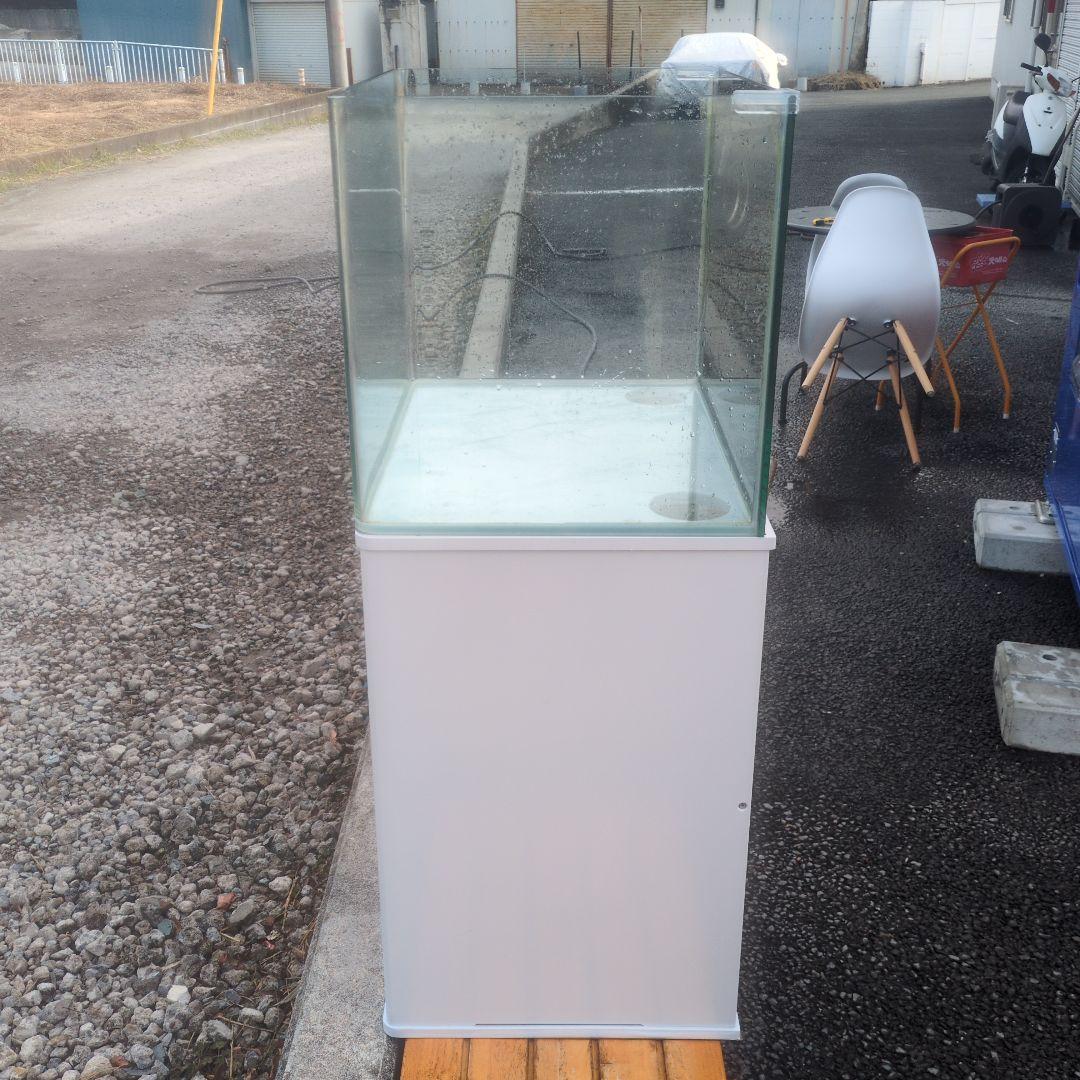 たらこスパゲッティ 水槽、水槽台、フィルターセット