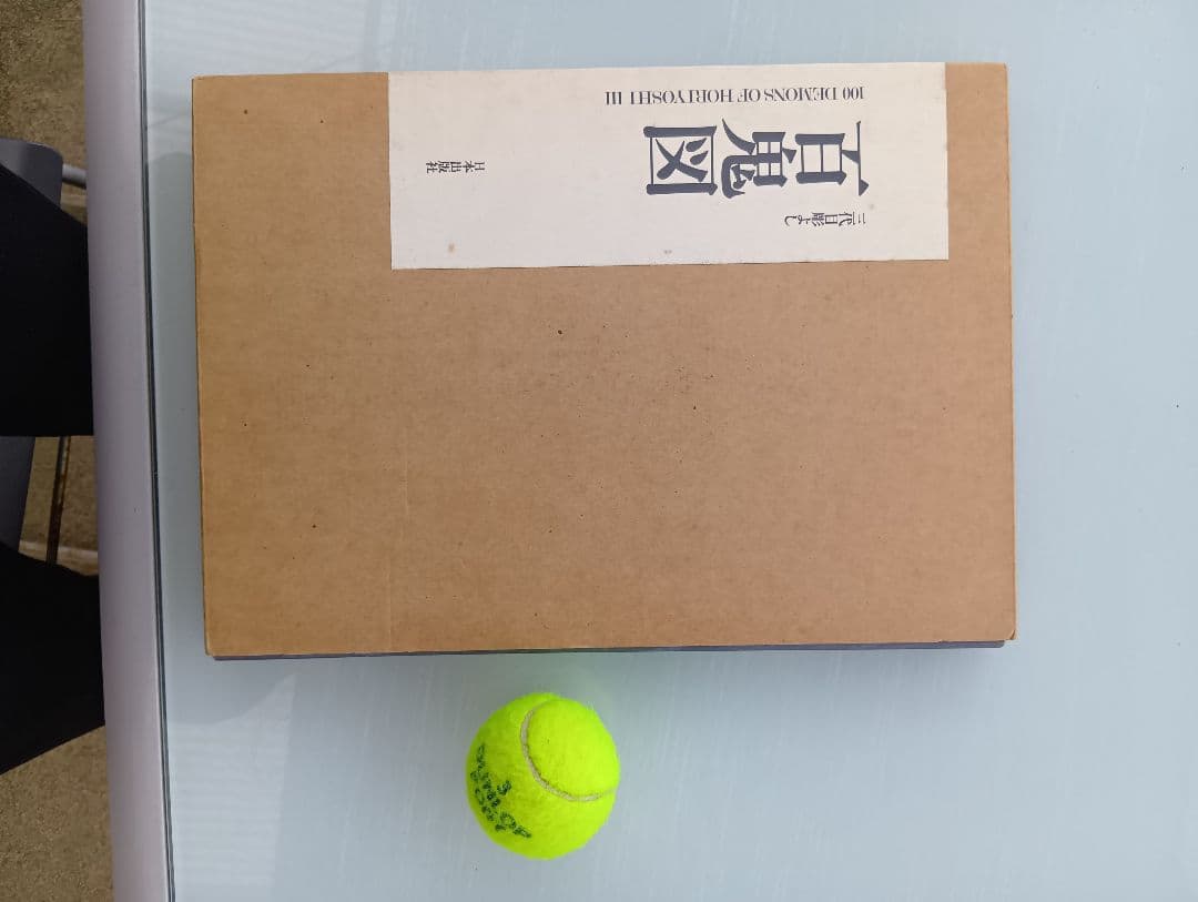 百鬼図 100DEMONS HORYOSHI III 三代目彫よし 刺青 入墨