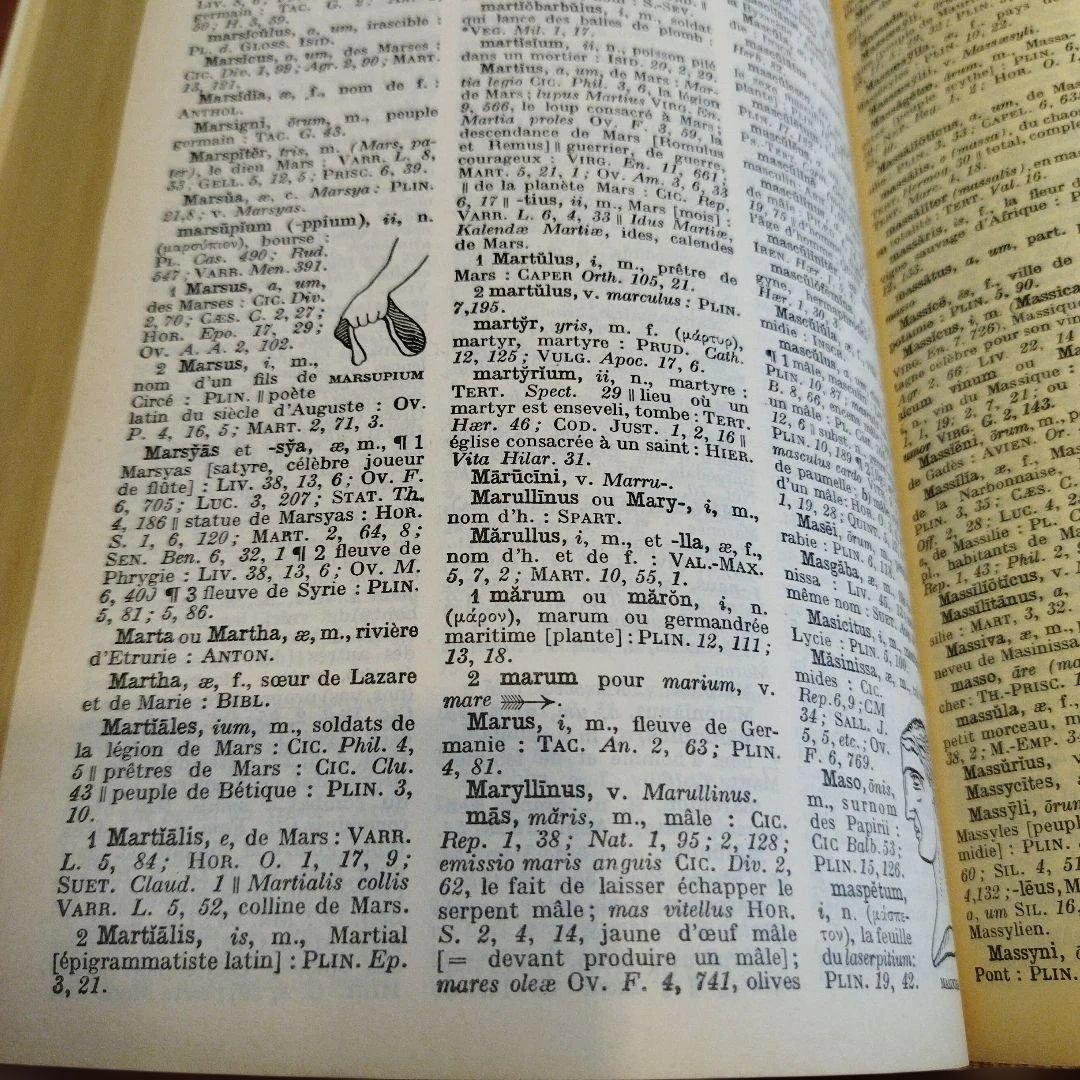 Dictionnaire Latin Français F. Gaffiot