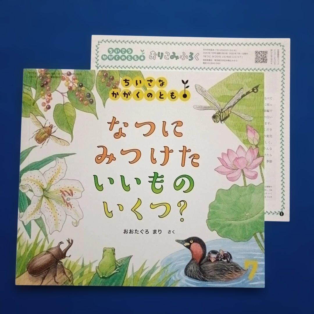 ちいさなかがくのとも　四季のカウンティングブック　いいものいくつ？　福音館