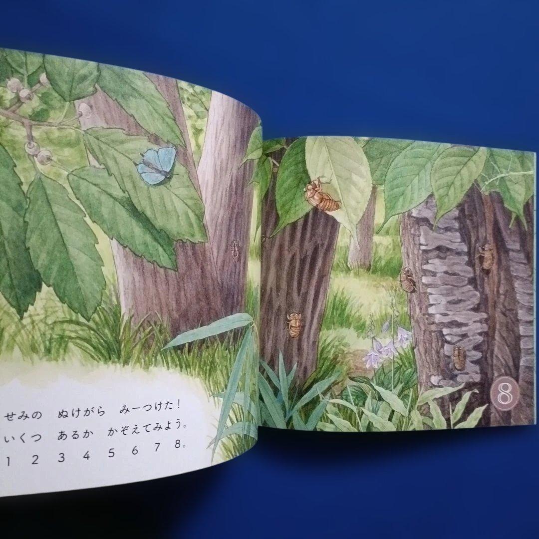 ちいさなかがくのとも　四季のカウンティングブック　いいものいくつ？　福音館