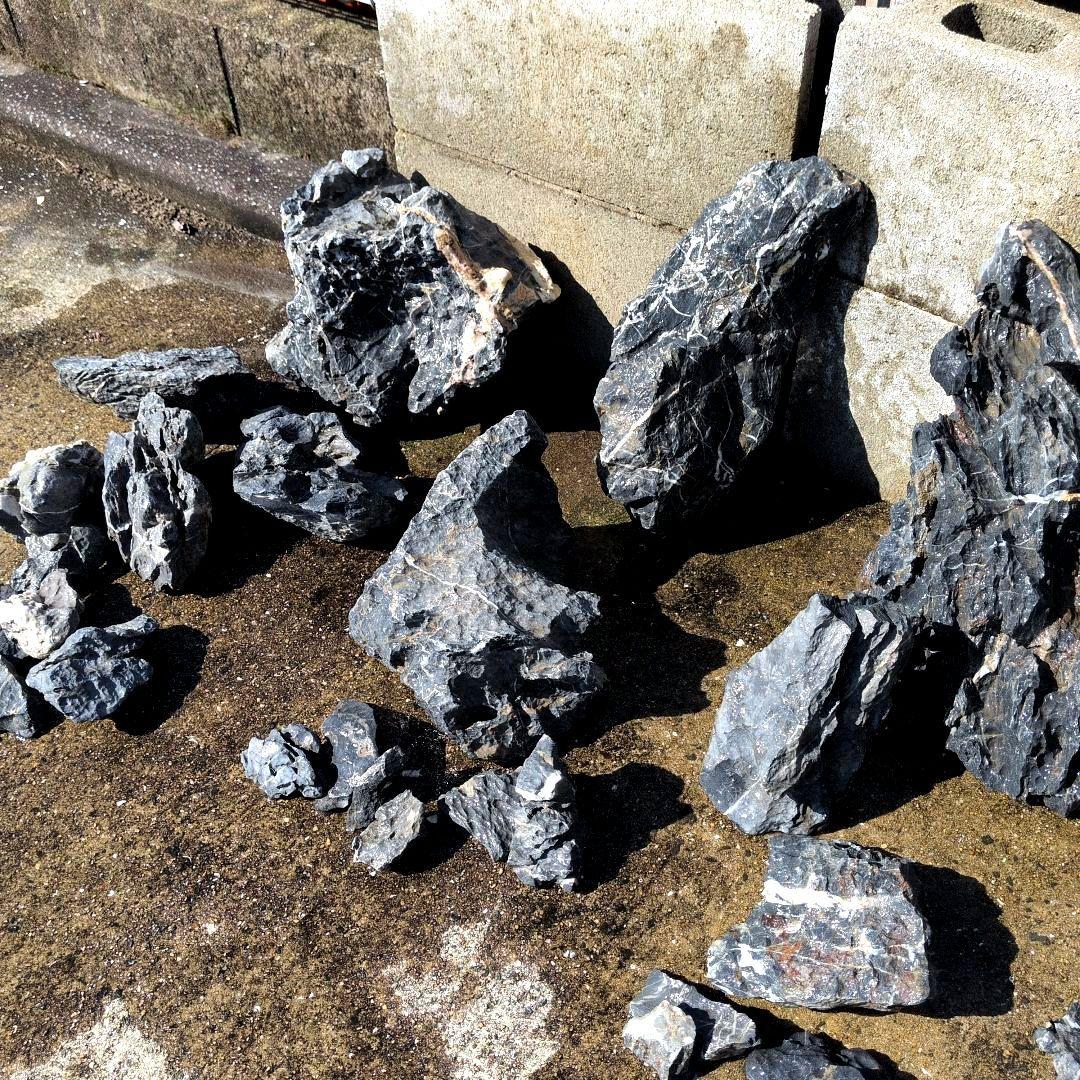 ADA ソフナイザー50 旧ロゴ