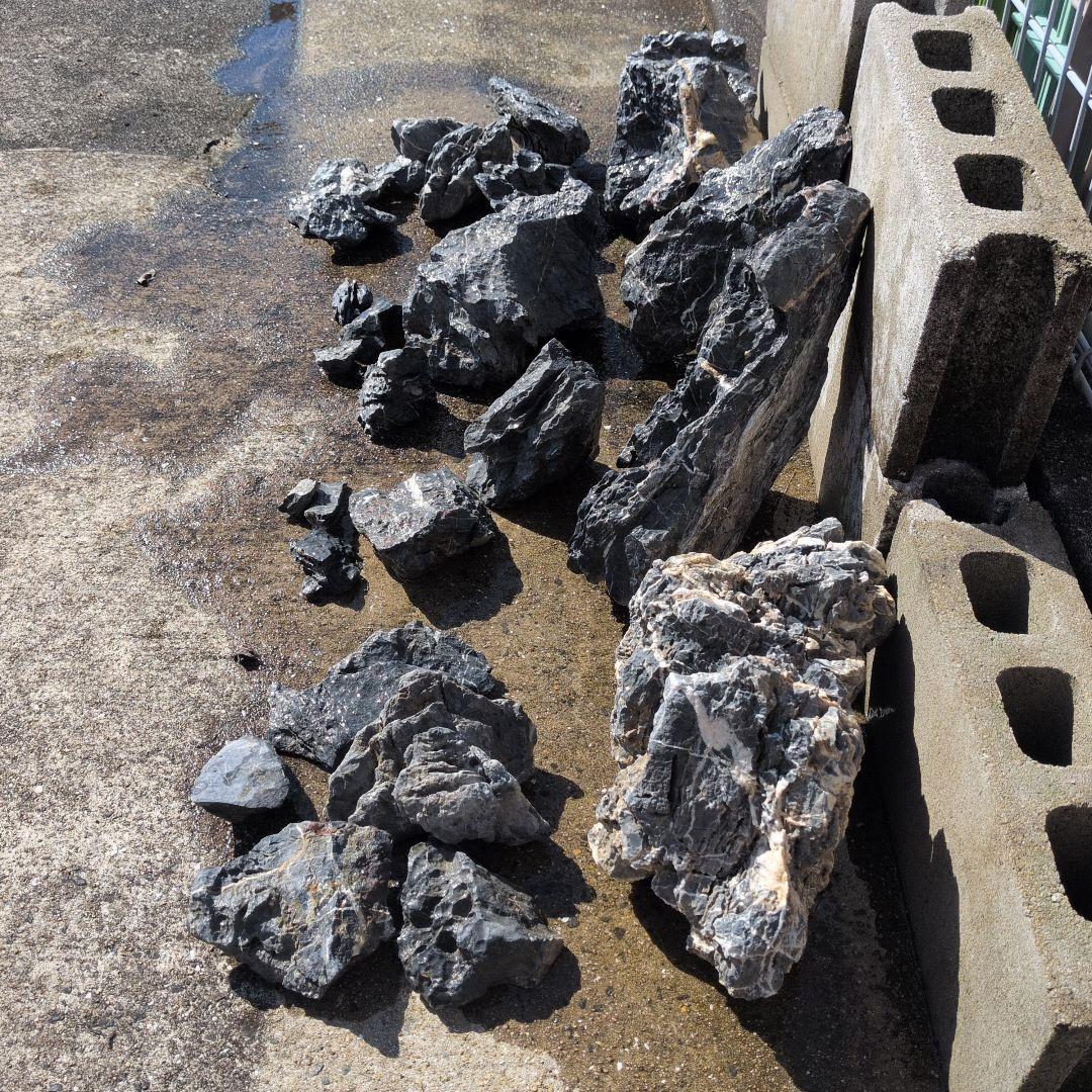 ADA ソフナイザー50 旧ロゴ