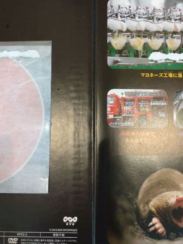 講談社の動く図鑑move　9冊セット