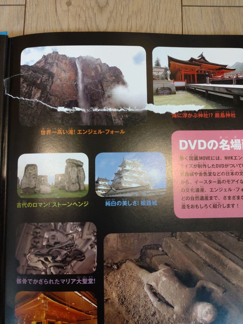 講談社の動く図鑑move　9冊セット