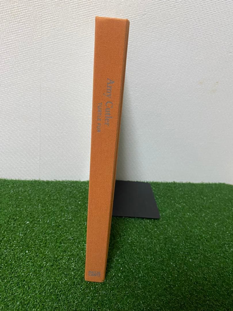 アート・デザイン・音楽 Amy Cutler