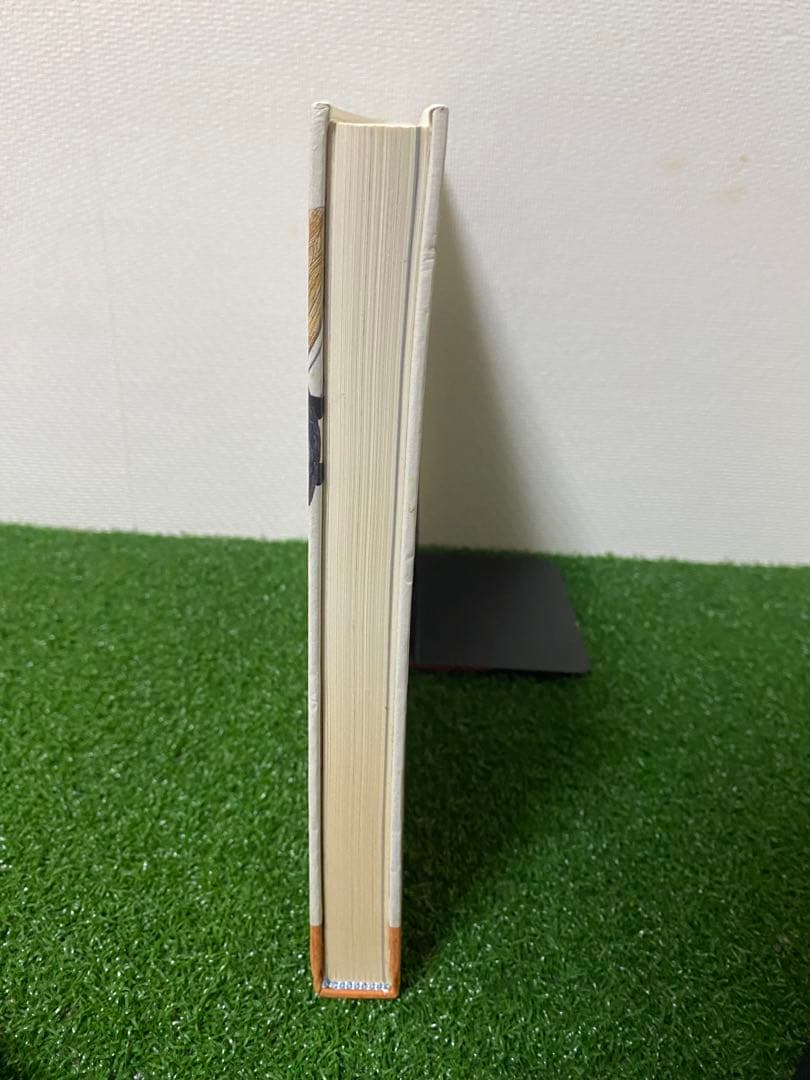 アート・デザイン・音楽 Amy Cutler