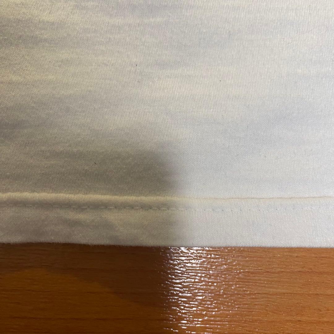 90s ANDAZIA 不思議の国のアリス　チェシャ猫　 ロンT レア　希少