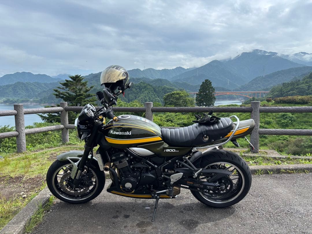 Z900RS ロングテールカウル　タイガーカラー
