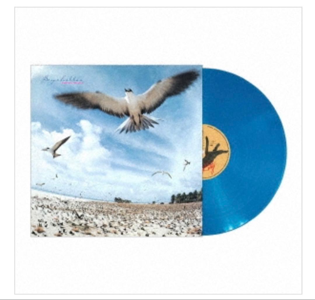 高中正義　seychelles 限定　クリアスカイ　LPレコード　シティポップ