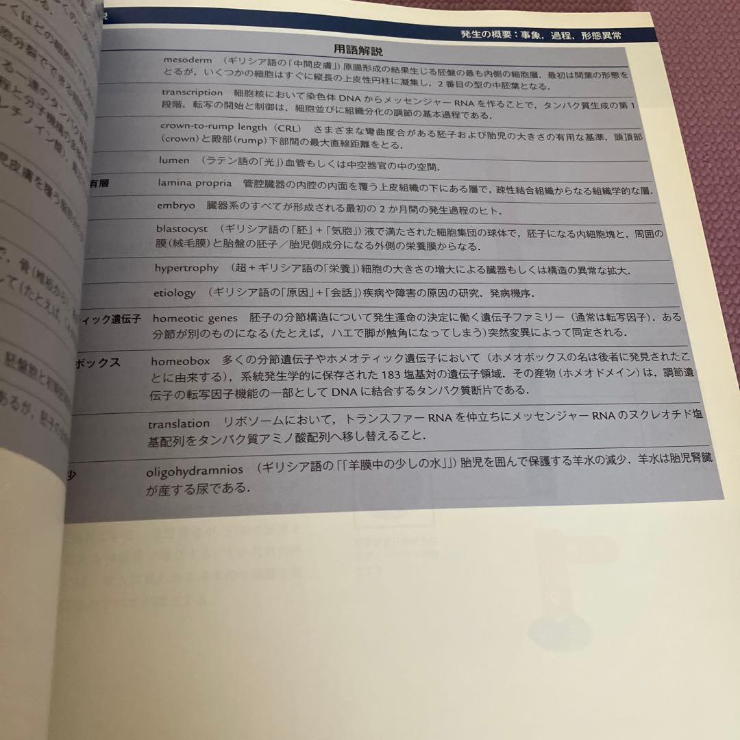 ネッター発生学アトラス