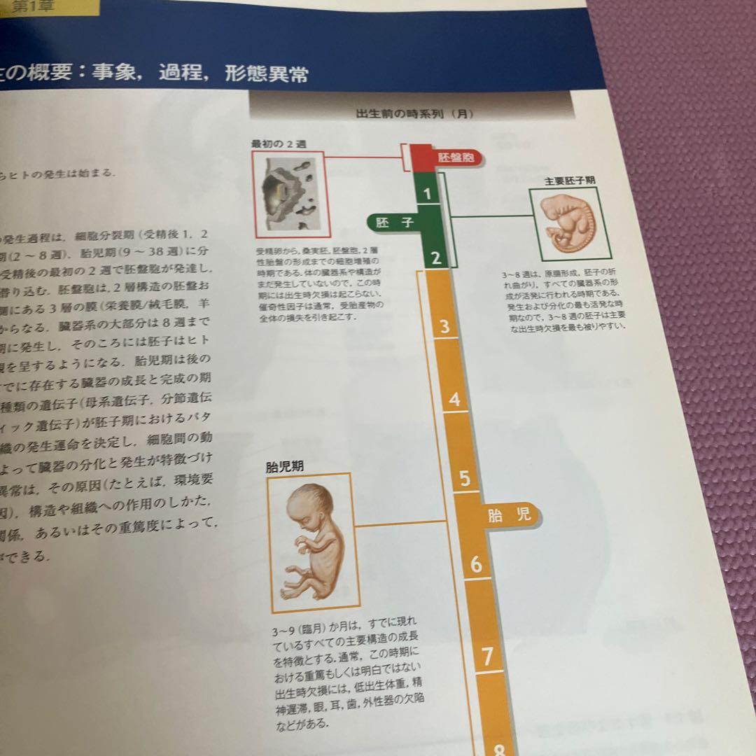 ネッター発生学アトラス