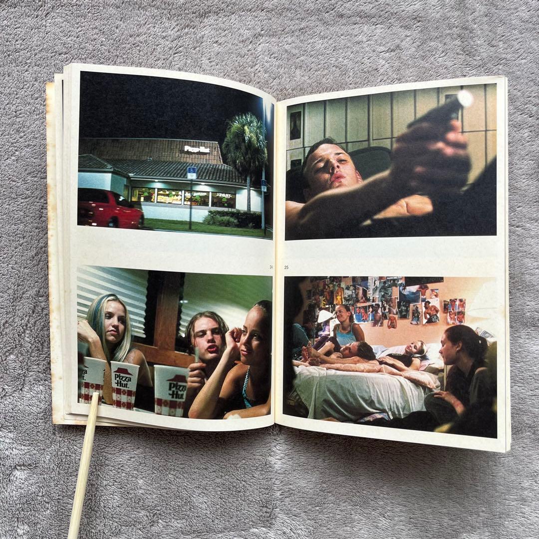 希少 Larry Clark 映画 BULLY パンフレット DVD セット
