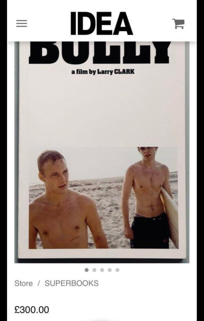 希少 Larry Clark 映画 BULLY パンフレット DVD セット