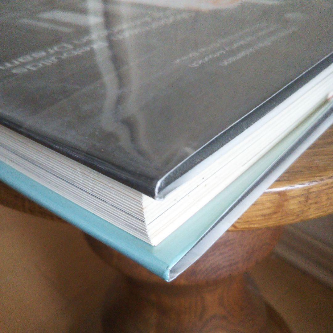 エイクラー モダニズム 2002/11/30 ハードカバー