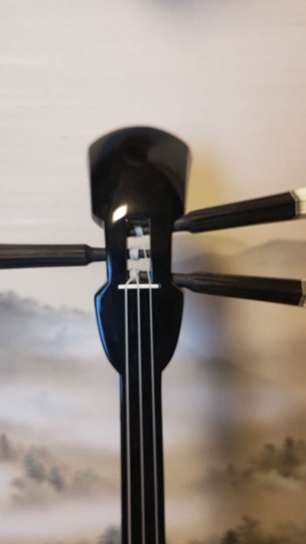 沖縄三線　本皮　蛇皮　 ソフトケース付　　黒塗