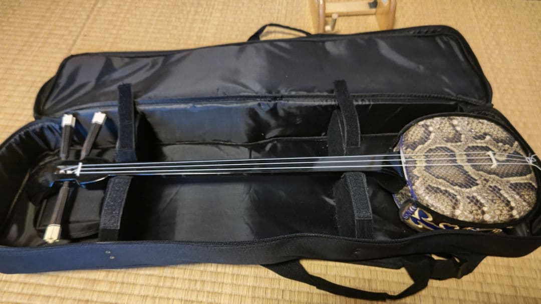 沖縄三線　本皮　蛇皮　 ソフトケース付　　黒塗