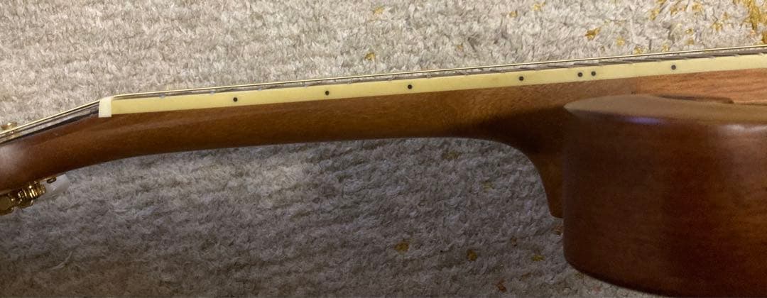 Blanton BM-25F マンドリン