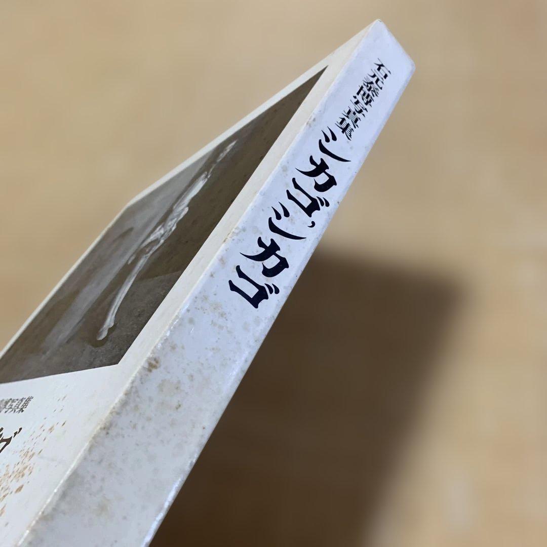 シカゴ, シカゴ 石元泰博 写真集