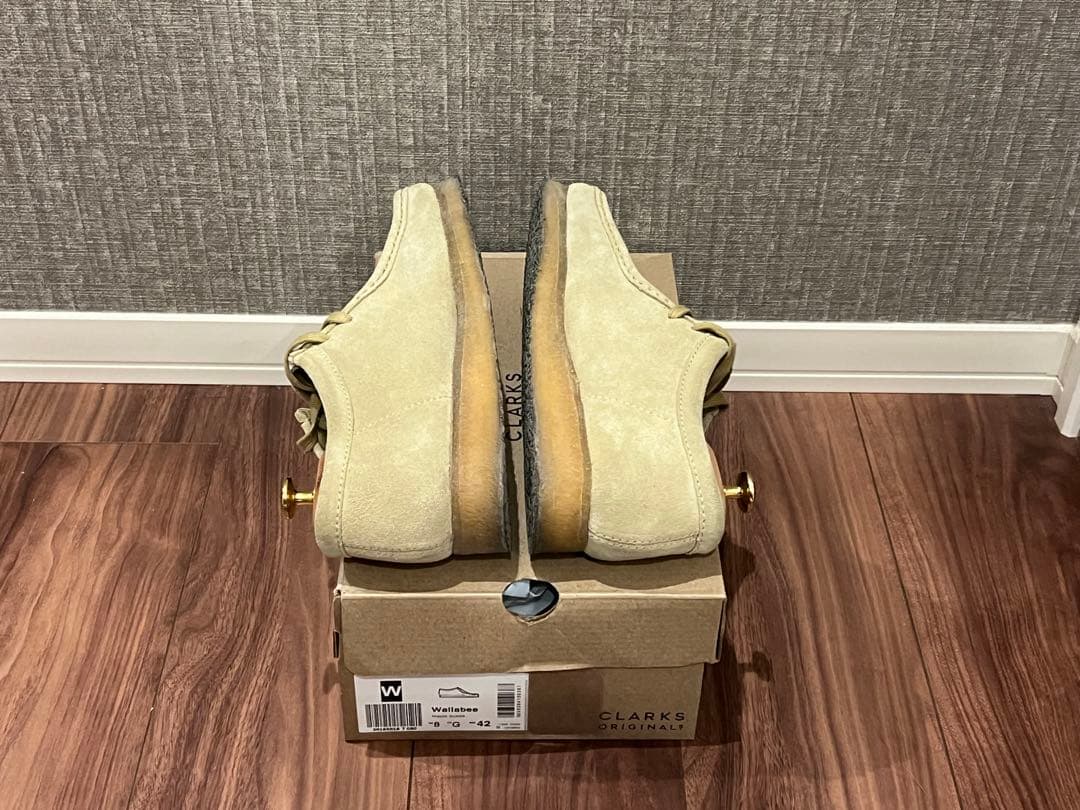 クラークスワラビー