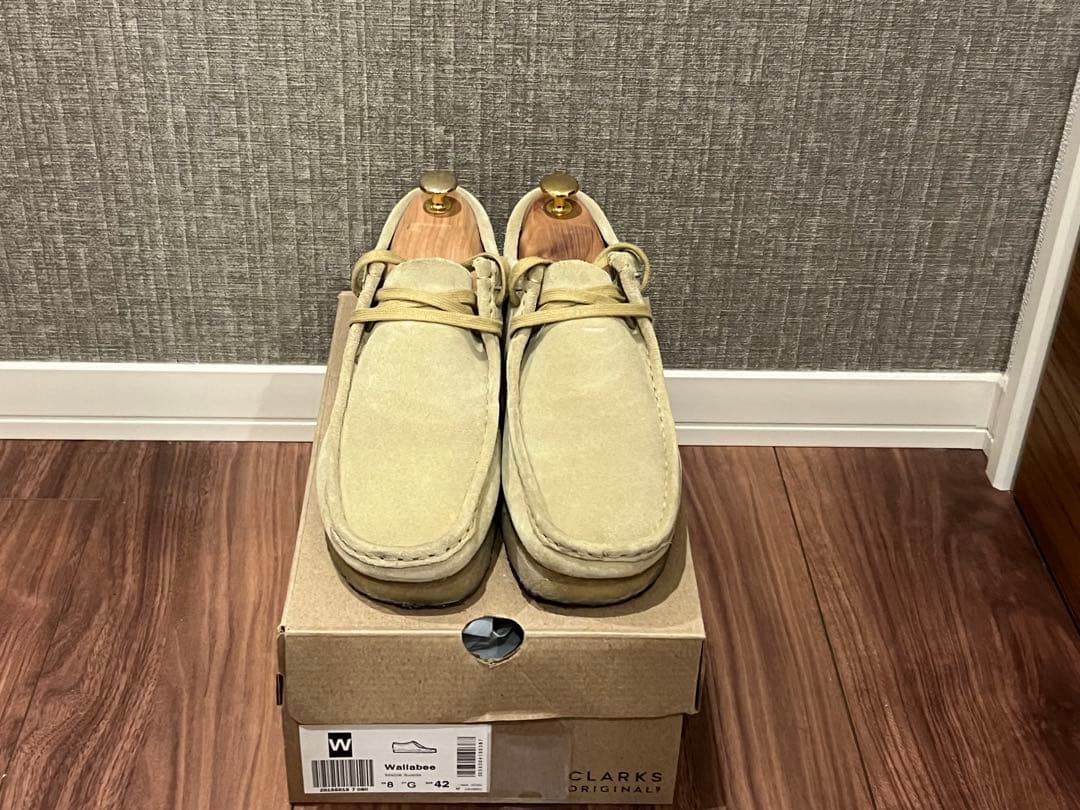 クラークスワラビー