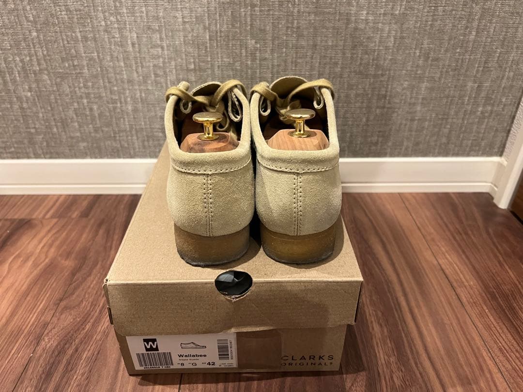 クラークスワラビー