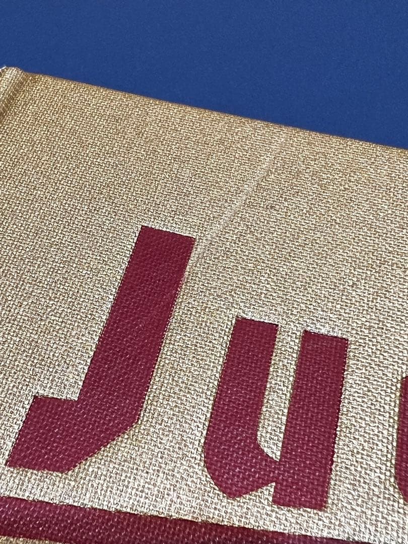 アート・デザイン・音楽 Juergen Teller / GO-SEES