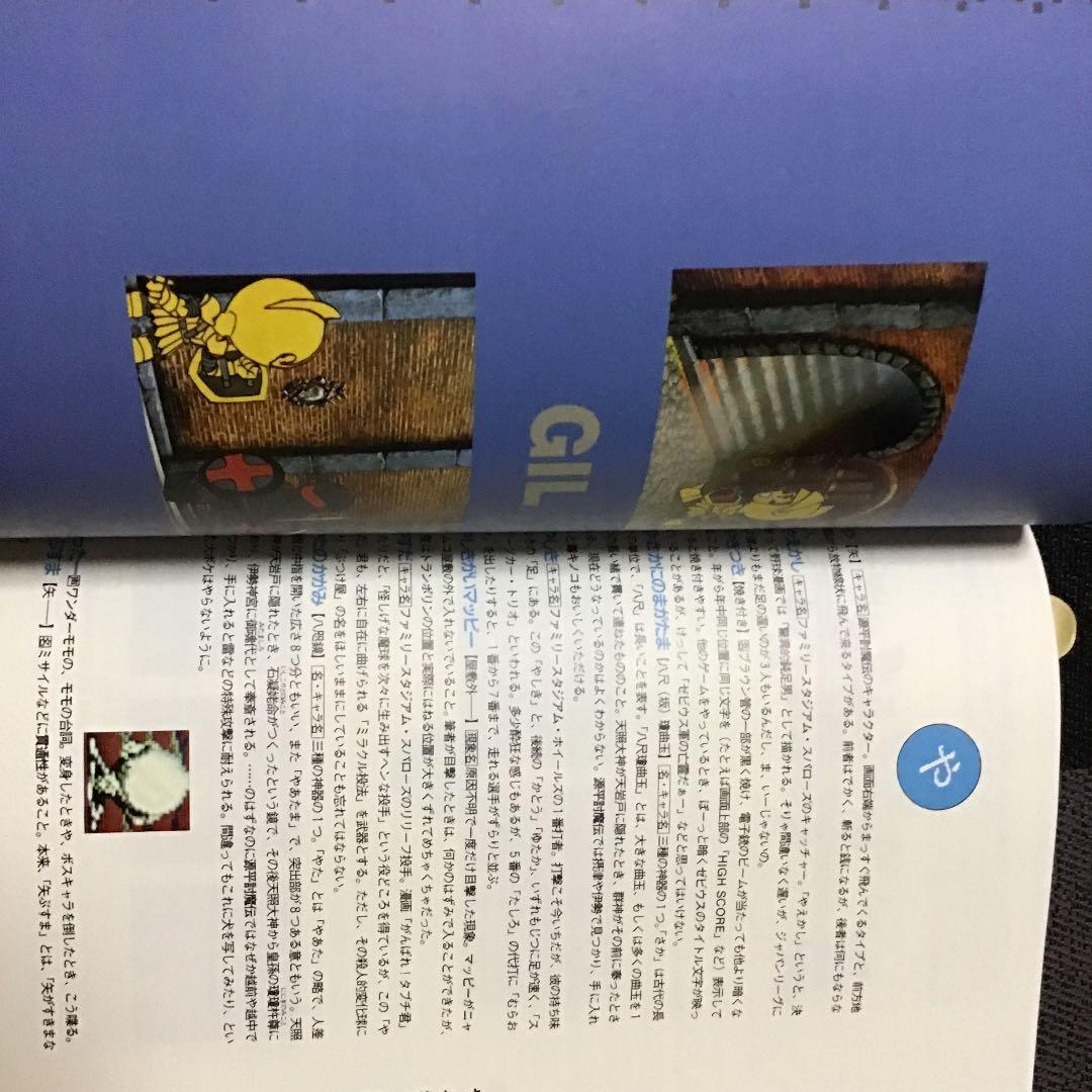 新明解ナム語辞典 激レア‼️