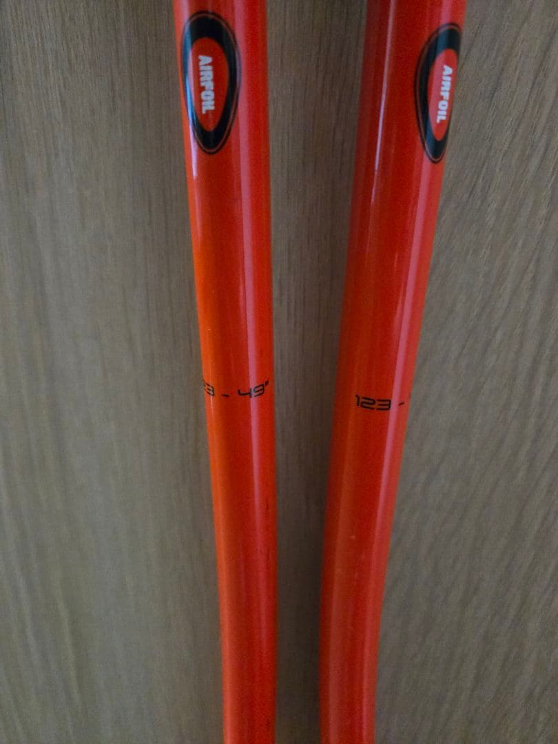 LEKI GS スキー ストック 123cm程度