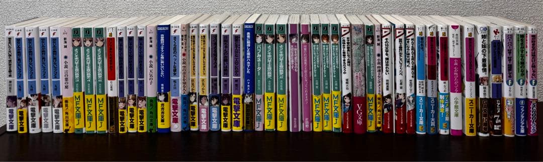 ラノベ詰め合わせ