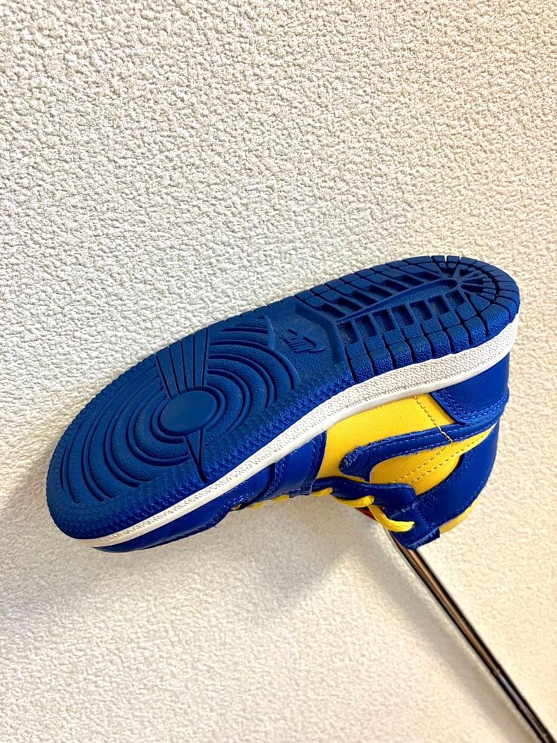 【超レア・超美品】NIKE JORDAN 1 ナイキ ジョーダン パターカバー