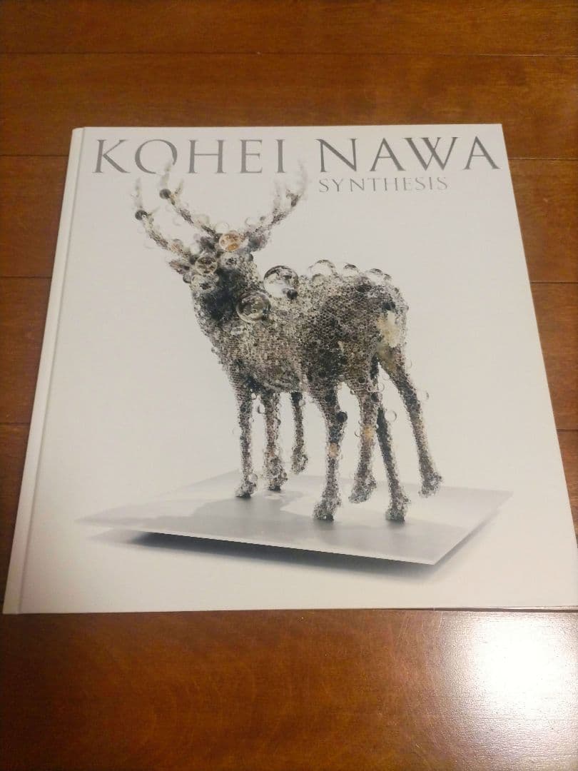 名和晃平 synthesis ドローイング付き　SYNTHESIS