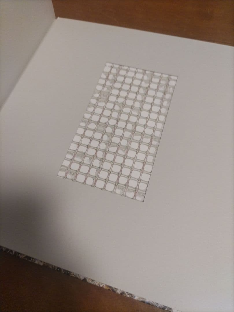 名和晃平 synthesis ドローイング付き　SYNTHESIS