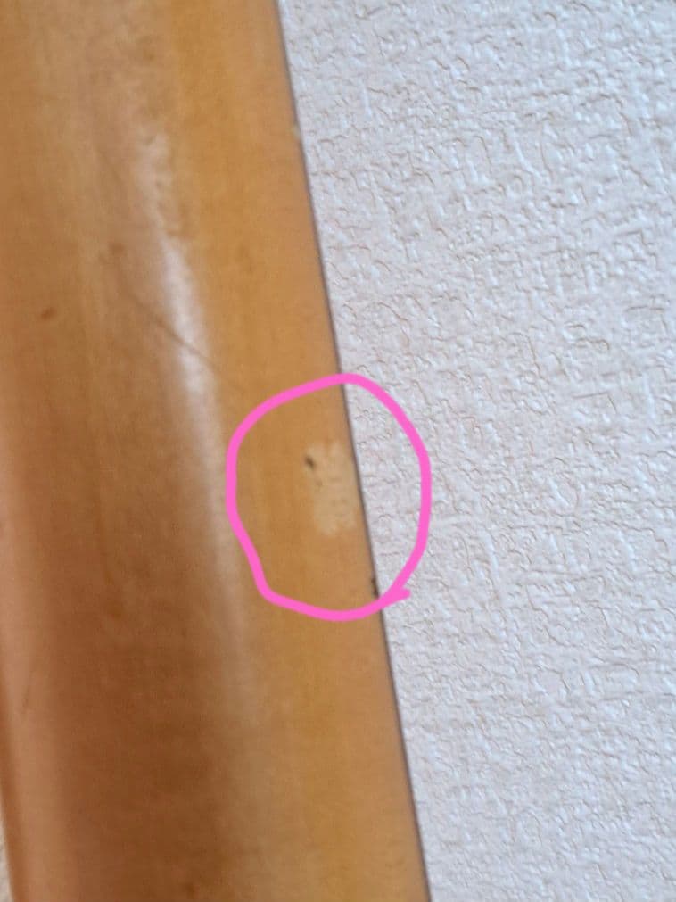 FERNANDES PIE-ZO フレットレス・エレキベース