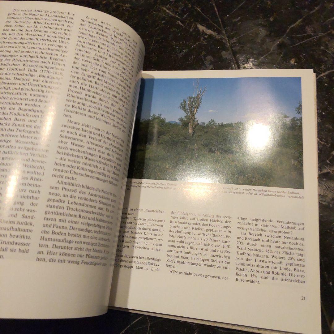 od Markgräflerland ドイツ語 洋書 風景 写真集