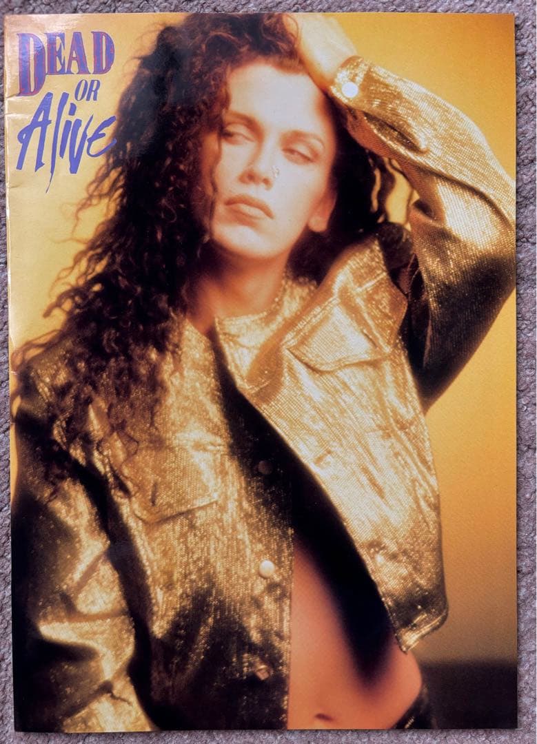 レア！デッドオアアライブ 1990年 ツアーパンフレット　送料無料