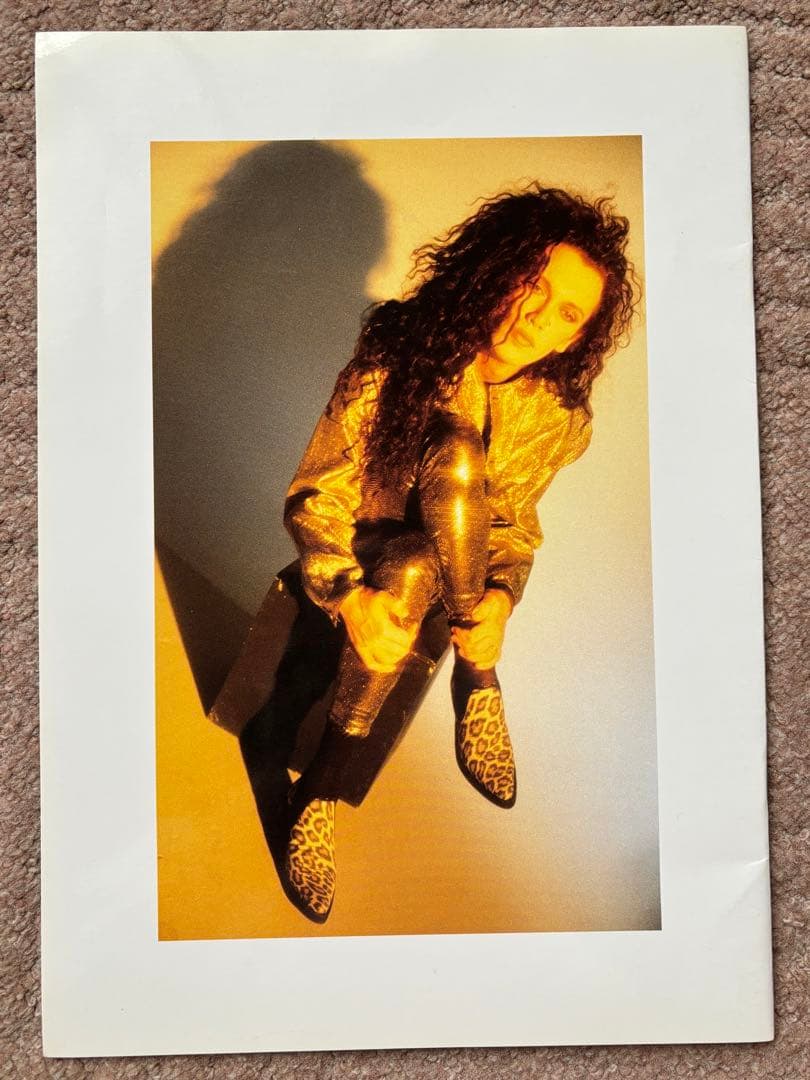 レア！デッドオアアライブ 1990年 ツアーパンフレット　送料無料