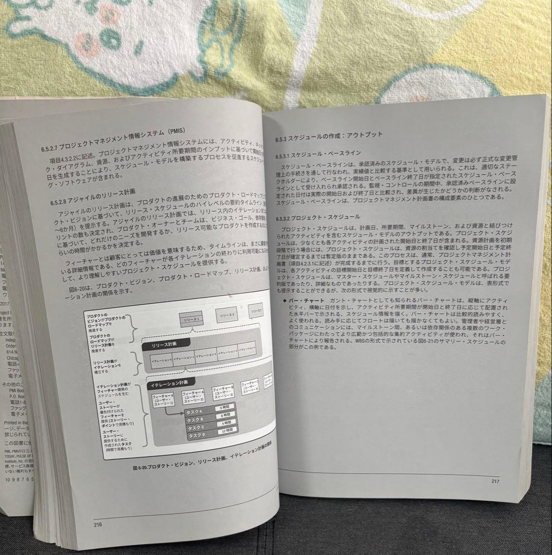 【匿名配送】PMBOK第6版、アジャイル実務ガイド等