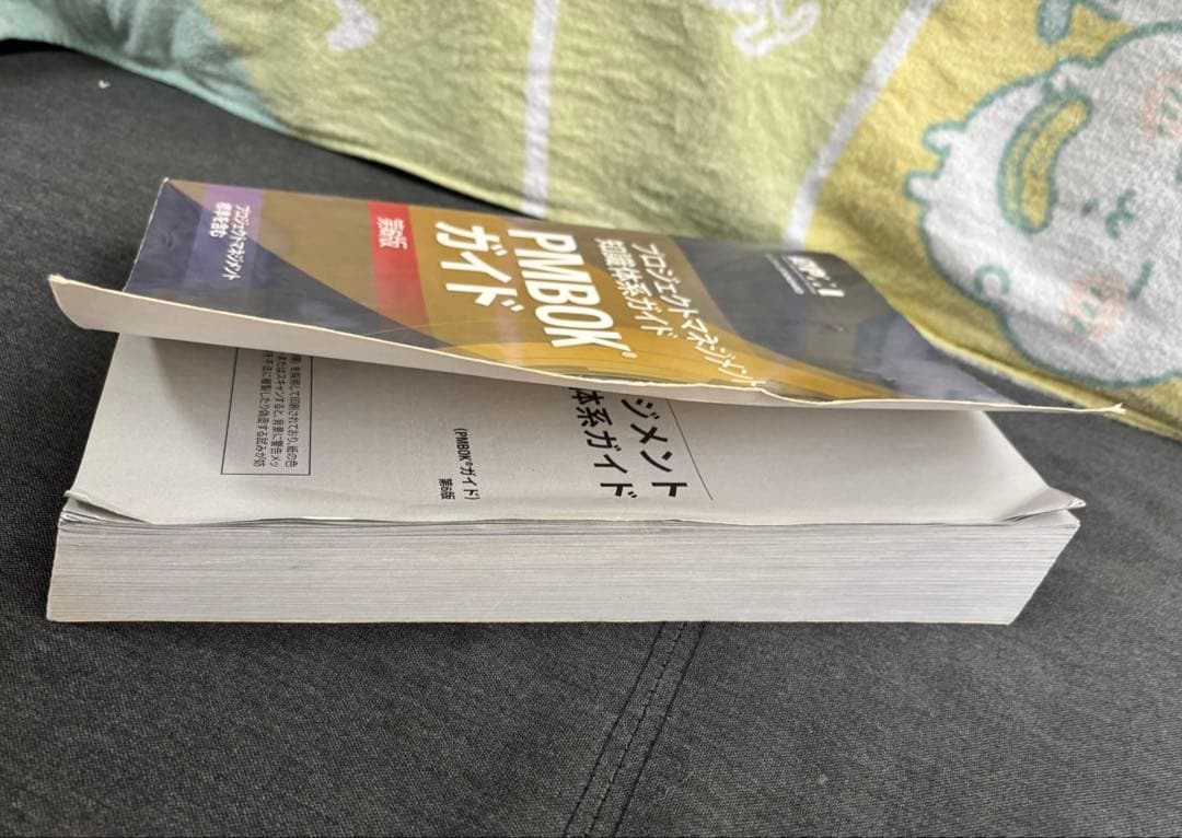 【匿名配送】PMBOK第6版、アジャイル実務ガイド等