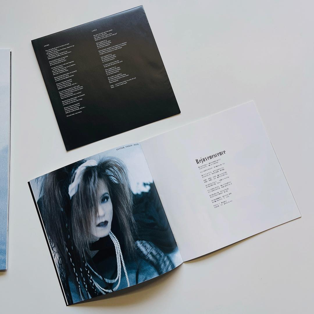 美品 レコード 2枚組 LUNA SEA EDEN エデン ルナシー 河村隆一