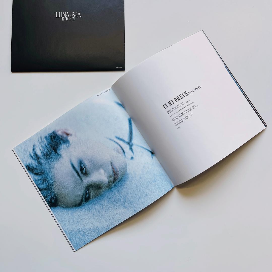 美品 レコード 2枚組 LUNA SEA EDEN エデン ルナシー 河村隆一