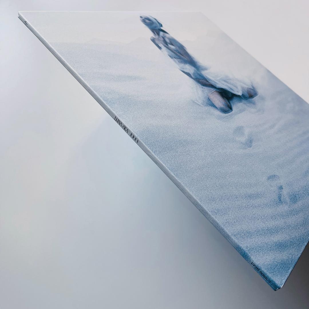 美品 レコード 2枚組 LUNA SEA EDEN エデン ルナシー 河村隆一