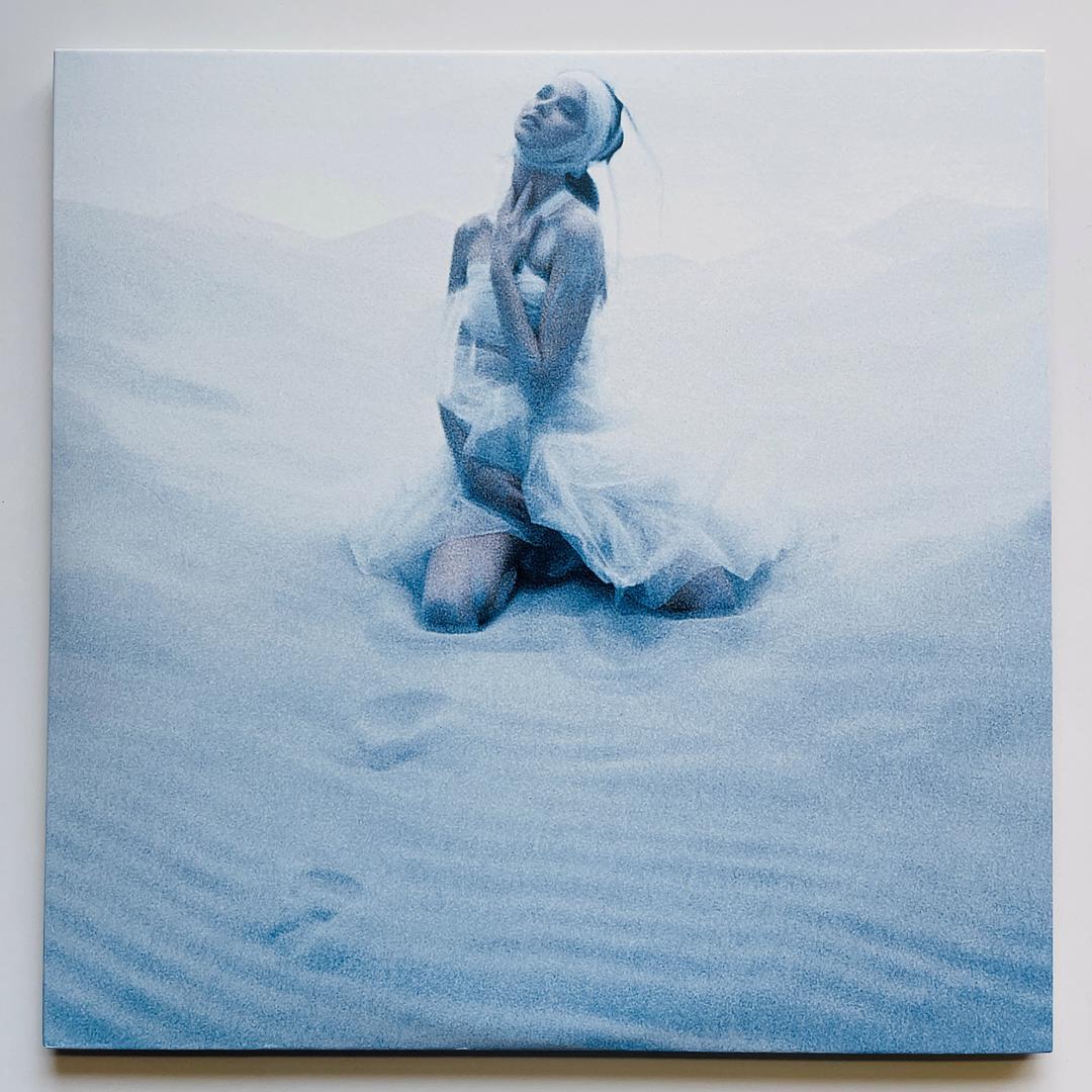 美品 レコード 2枚組 LUNA SEA EDEN エデン ルナシー 河村隆一