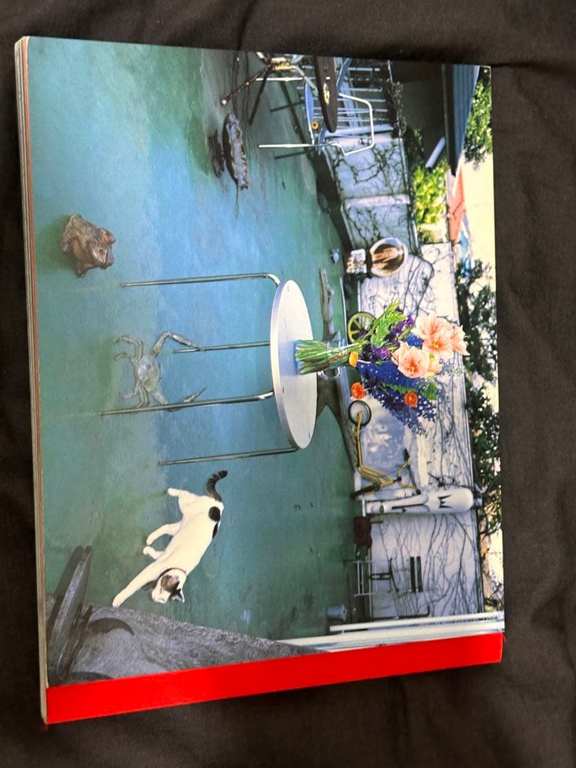 荒木経惟「新世紀ノ写真」写真集